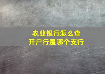 农业银行怎么查开户行是哪个支行