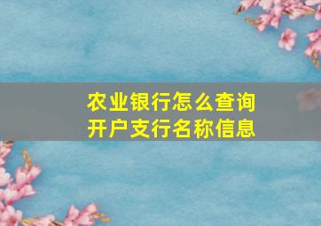 农业银行怎么查询开户支行名称信息