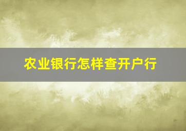 农业银行怎样查开户行