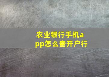 农业银行手机app怎么查开户行