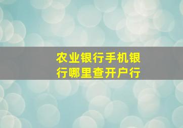 农业银行手机银行哪里查开户行