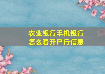 农业银行手机银行怎么看开户行信息