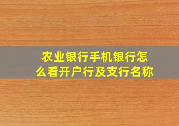 农业银行手机银行怎么看开户行及支行名称