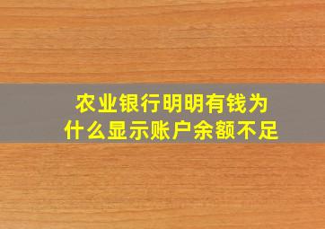 农业银行明明有钱为什么显示账户余额不足