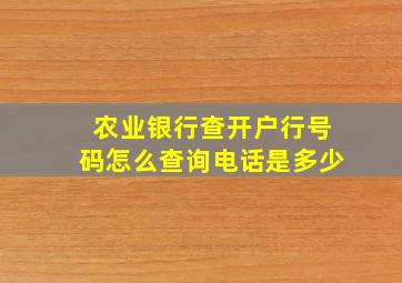 农业银行查开户行号码怎么查询电话是多少