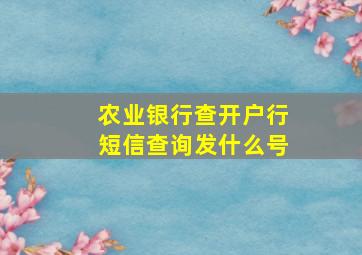 农业银行查开户行短信查询发什么号