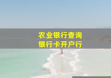 农业银行查询银行卡开户行