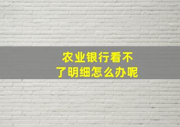 农业银行看不了明细怎么办呢