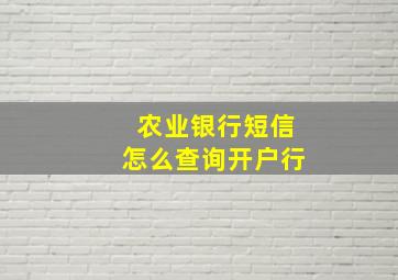 农业银行短信怎么查询开户行