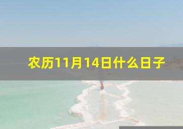 农历11月14日什么日子