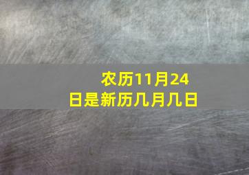 农历11月24日是新历几月几日