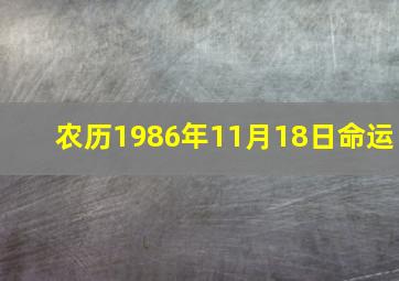 农历1986年11月18日命运