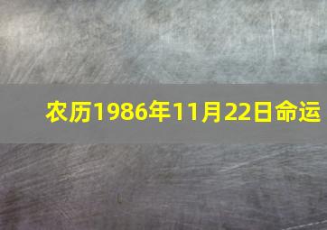 农历1986年11月22日命运