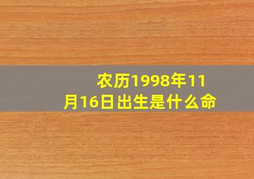 农历1998年11月16日出生是什么命