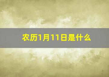 农历1月11日是什么