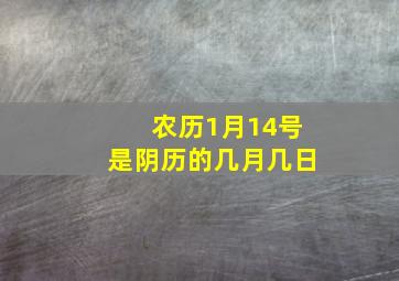 农历1月14号是阴历的几月几日