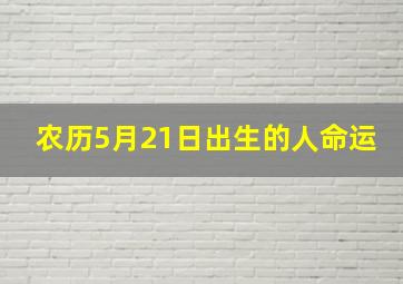 农历5月21日出生的人命运