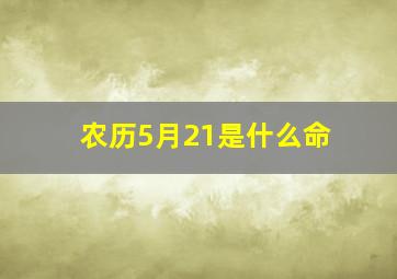 农历5月21是什么命