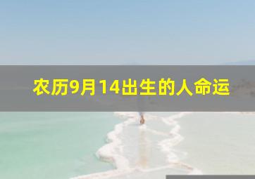 农历9月14出生的人命运