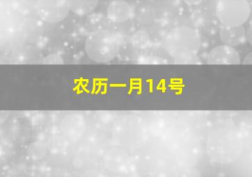 农历一月14号