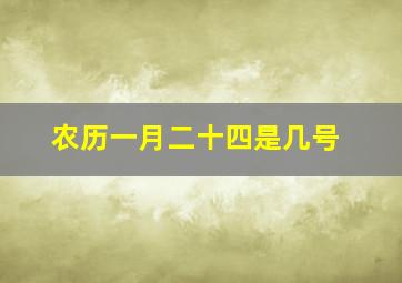 农历一月二十四是几号