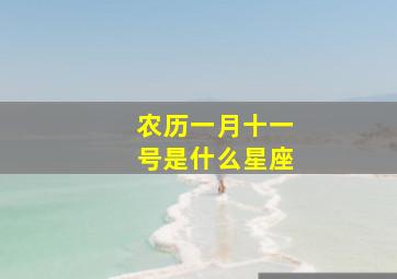 农历一月十一号是什么星座