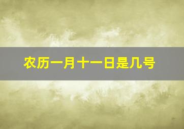 农历一月十一日是几号