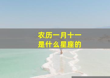 农历一月十一是什么星座的