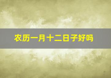 农历一月十二日子好吗