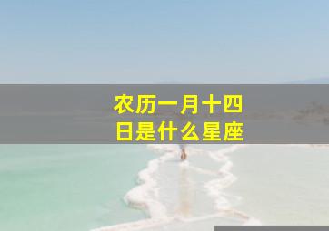 农历一月十四日是什么星座