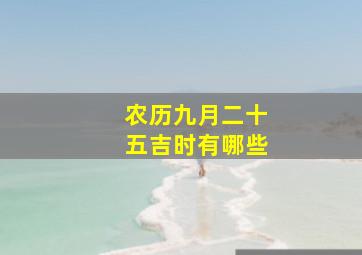 农历九月二十五吉时有哪些