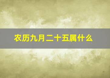 农历九月二十五属什么