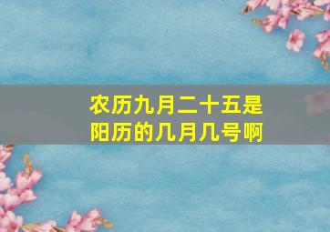 农历九月二十五是阳历的几月几号啊