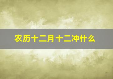 农历十二月十二冲什么