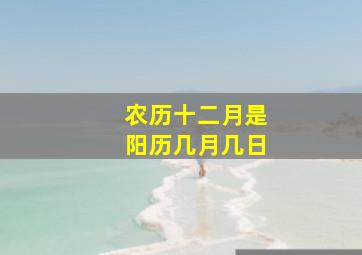 农历十二月是阳历几月几日