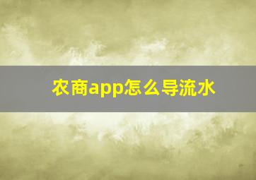 农商app怎么导流水