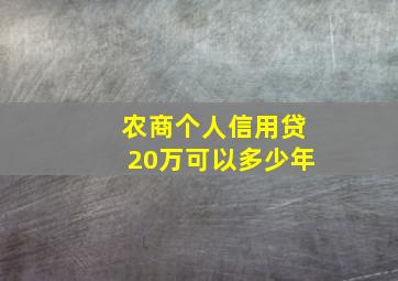 农商个人信用贷20万可以多少年