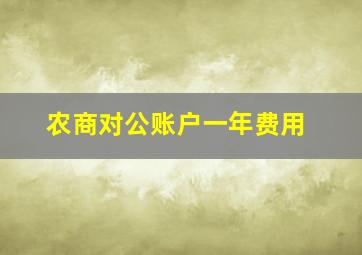 农商对公账户一年费用