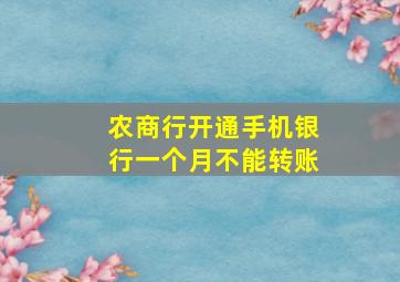 农商行开通手机银行一个月不能转账