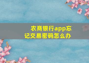 农商银行app忘记交易密码怎么办