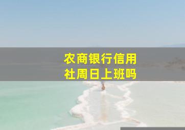 农商银行信用社周日上班吗