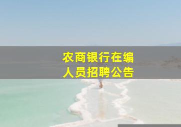 农商银行在编人员招聘公告