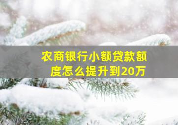 农商银行小额贷款额度怎么提升到20万