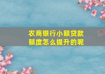 农商银行小额贷款额度怎么提升的呢