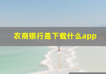 农商银行是下载什么app