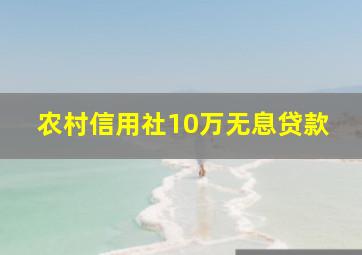 农村信用社10万无息贷款