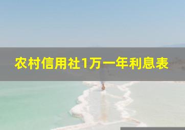 农村信用社1万一年利息表