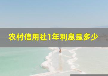 农村信用社1年利息是多少