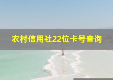 农村信用社22位卡号查询