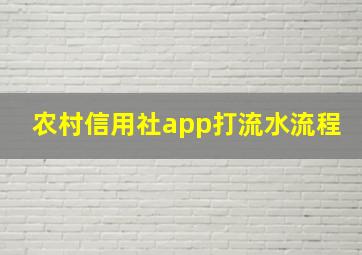 农村信用社app打流水流程